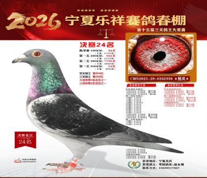 �����������24��