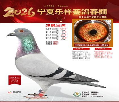 �����������25��