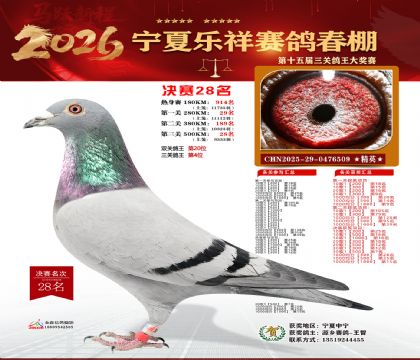 �����������28��