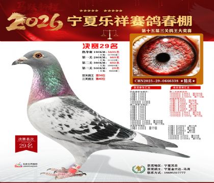 �����������29��