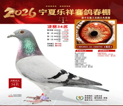 �����������34��