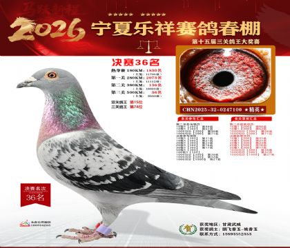 �����������36��