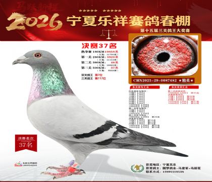 �����������37��