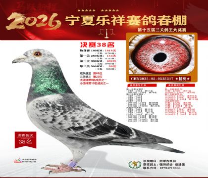 �����������38��