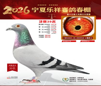 �����������39��