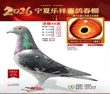 �����������40��