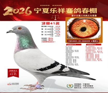 �����������41��