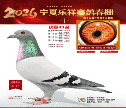 �����������43��