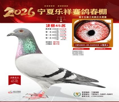 �����������45��