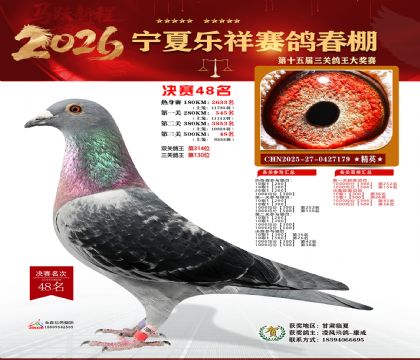 �����������48��