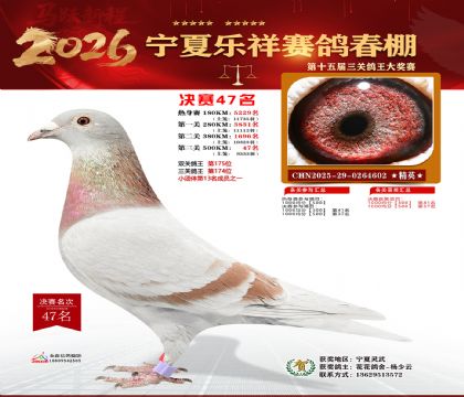 �����������47��