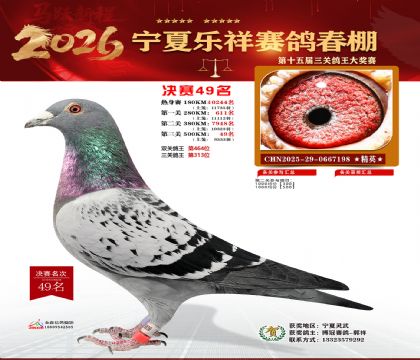 �����������49��