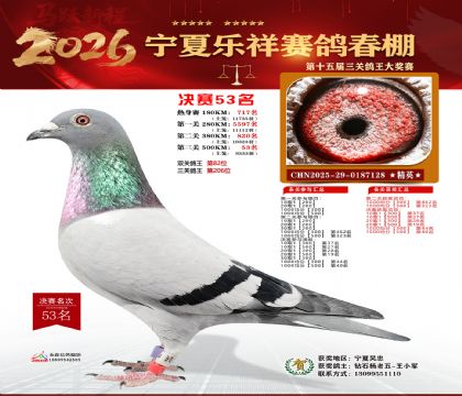 �����������53��