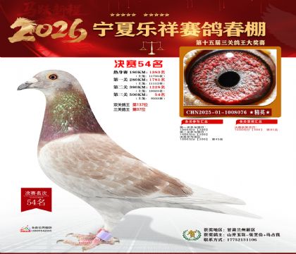 �����������54��