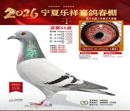 �����������55��