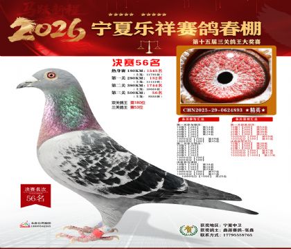 �����������56��