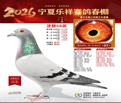 �����������58��