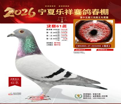 �����������61��