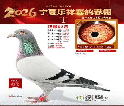 �����������62��