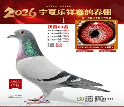 �����������63��