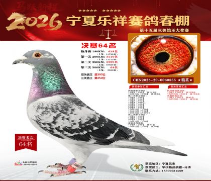 �����������64��