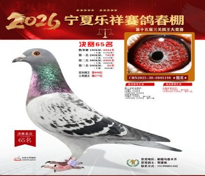 �����������65��