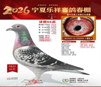 �����������66��