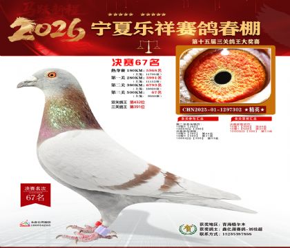 �����������67��