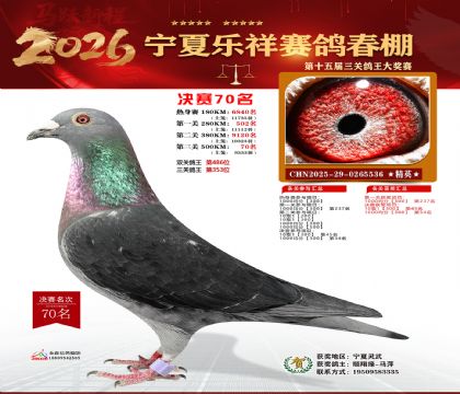 �����������70��