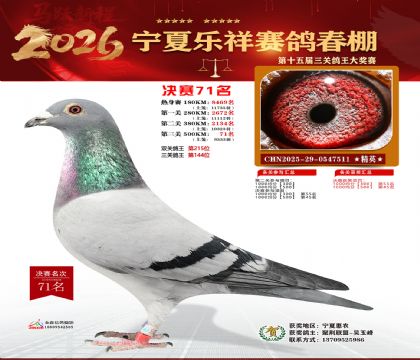 �����������71��