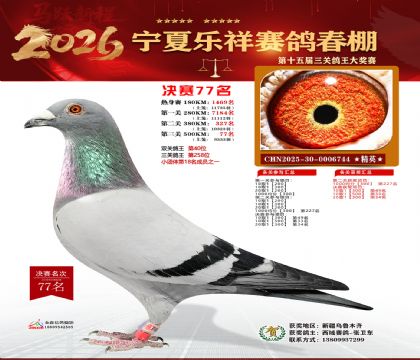 �����������77��