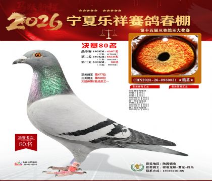 �����������80��