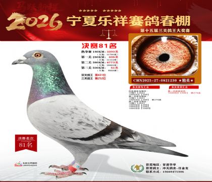 �����������81��