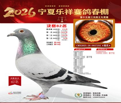 �����������82��