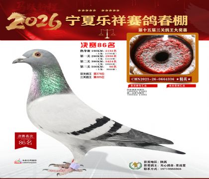 �����������86��