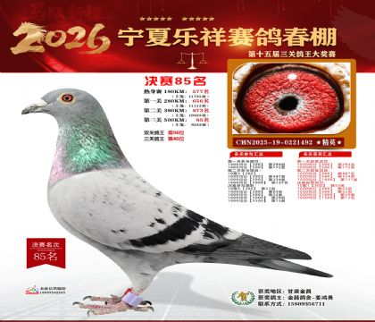 �����������85��