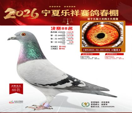 �����������88��