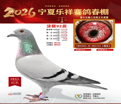 �����������92��