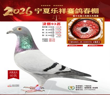 �����������93��