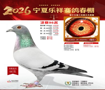 �����������96��