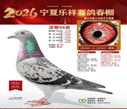 �����������98��