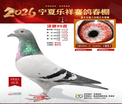 �����������99��