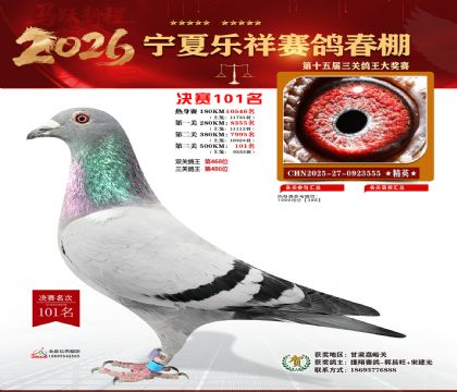 �����������101��