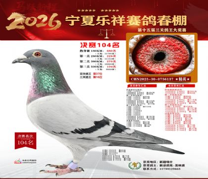 �����������104��