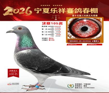 �����������105��