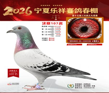 �����������107��