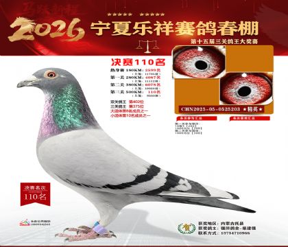 �����������110��