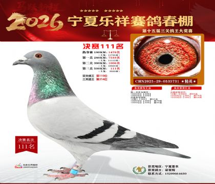 �����������111��