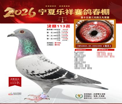 �����������113��