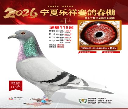 �����������115��